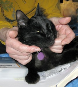 Get out of low-mood and take your life to a higher level!