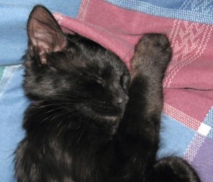 Don't sleep through the opportunity; listen for how to truly enjoy your life!