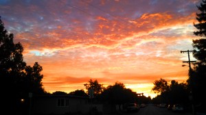 Pause and notice each divine moment as it arrives.