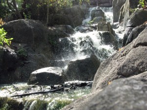 Flow forward with your life; water rushes past obstacles.