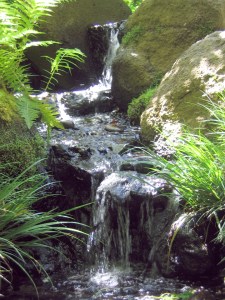 Let happiness and abundance flow well!