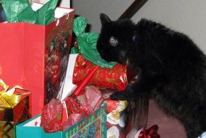 Make 2016 a Year full of Presents for You and Loved Ones!