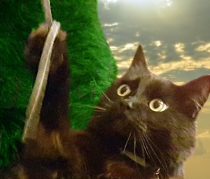 Pull your OWN strings