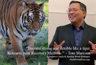 tomphoto_tiger_pitch_recover